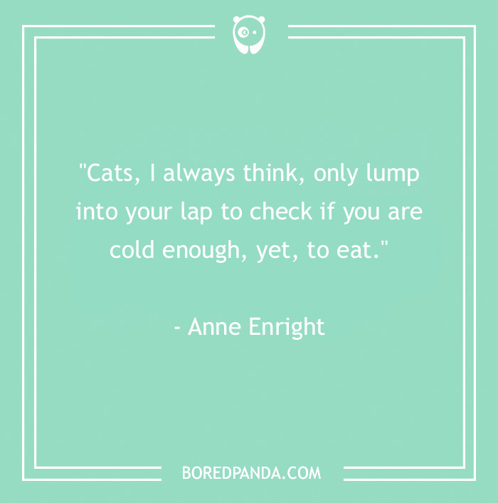 Anne Enright quote about cat's thinking