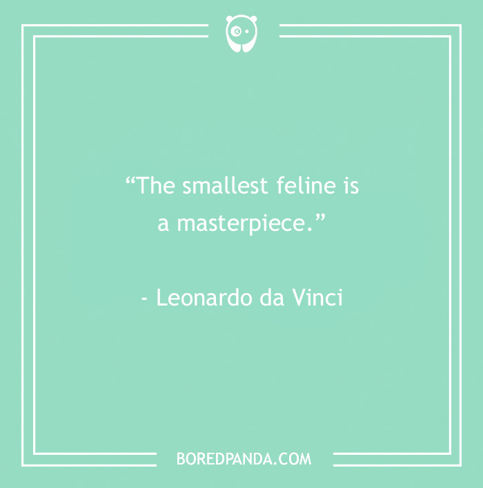 Leonardo da Vinci quote about the smallest feline