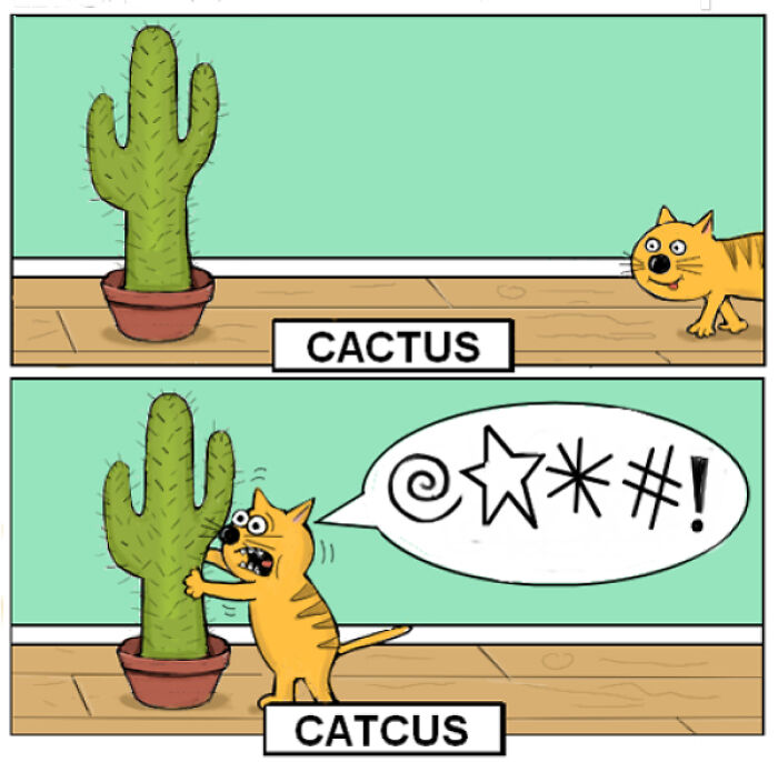 Cat Meets Cactus