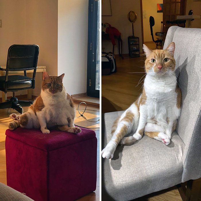 Phoebe’s Weight Loss Journey Is Going Well