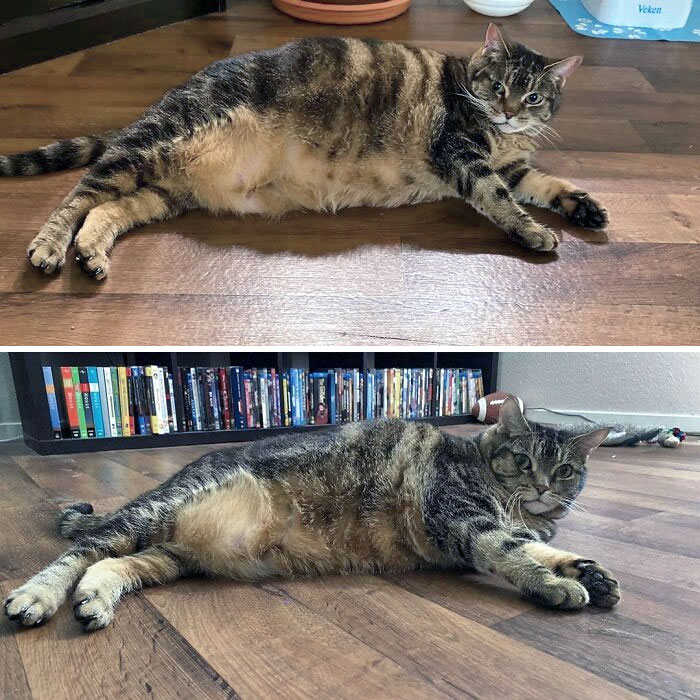 Penny's Weight Loss 6 Months In