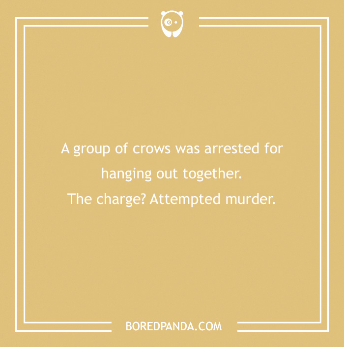 Pun about crows and attempted m****r, part of clean jokes collection.