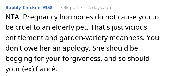 Woman Chooses Her Elderly Cat Over Fiancé And His Pregnant Daughter, Gets Full Support Online Woman Chooses Her Elderly Cat Over Fiancé And His Pregnant Daughter, Gets Full Support Online