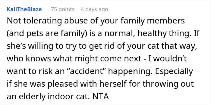 Woman Chooses Her Elderly Cat Over Fiancé And His Pregnant Daughter, Gets Full Support Online Woman Chooses Her Elderly Cat Over Fiancé And His Pregnant Daughter, Gets Full Support Online