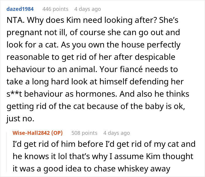 Woman Chooses Her Elderly Cat Over Fiancé And His Pregnant Daughter, Gets Full Support Online Woman Chooses Her Elderly Cat Over Fiancé And His Pregnant Daughter, Gets Full Support Online