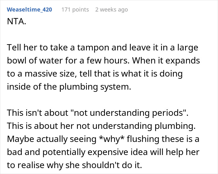 Dad Asks 19YO To Stop Flushing Tampons Down The Toilet Due To Possible Plumbing Issues, Drama Ensues
