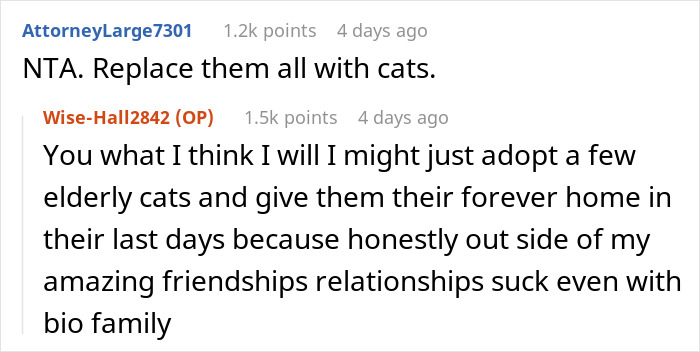 Woman Chooses Her Elderly Cat Over Fiancé And His Pregnant Daughter, Gets Full Support Online Woman Chooses Her Elderly Cat Over Fiancé And His Pregnant Daughter, Gets Full Support Online