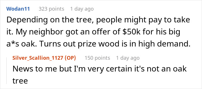 Person Maliciously Complies With Annoying Neighbor Who Kept Asking Them To Cut Down His Tree Person Maliciously Complies With Annoying Neighbor Who Kept Asking Them To Cut Down His Tree