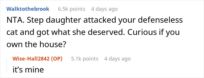 Woman Chooses Her Elderly Cat Over Fiancé And His Pregnant Daughter, Gets Full Support Online Woman Chooses Her Elderly Cat Over Fiancé And His Pregnant Daughter, Gets Full Support Online