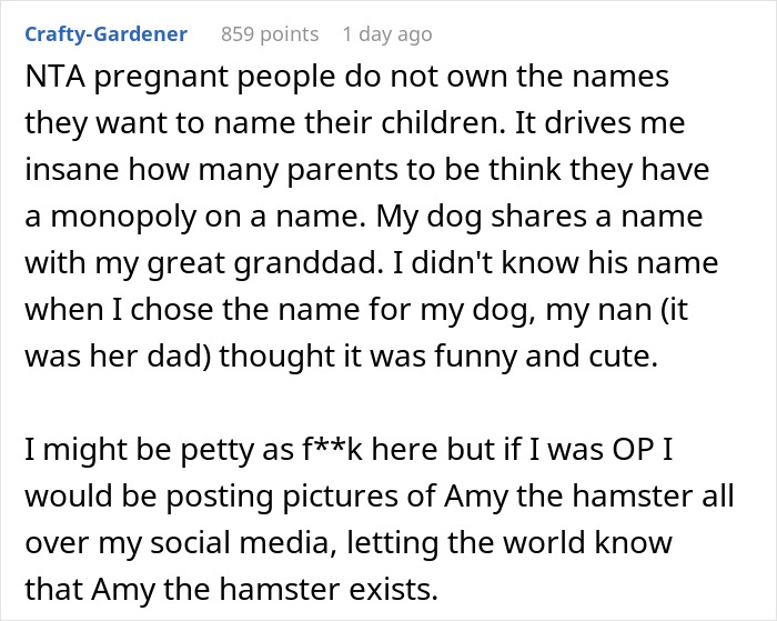 Parent Won’t Make Son Change Hamster's Name Which SIL Wants For Her Child, She Absolutely “Blows Up”