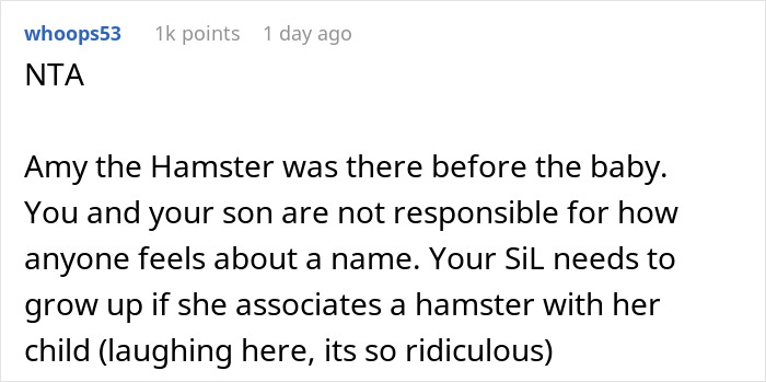 Parent Won’t Make Son Change Hamster’s Name Which SIL Wants For Her ...