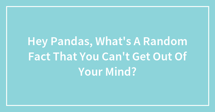 Hey Pandas, What’s A Random Fact That You Can’t Get Out Of Your Mind? (Closed)