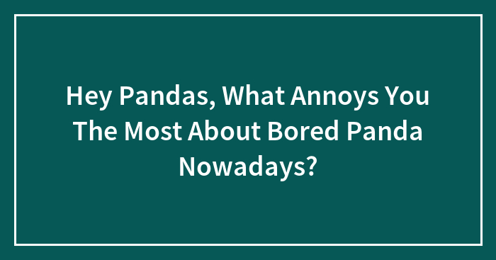 Hey Pandas, What Annoys You The Most About Bored Panda Nowadays? (Closed)