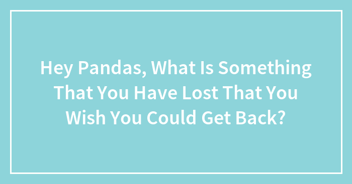 Hey Pandas, What Is Something That You Have Lost That You Wish You Could Get Back? (Closed)