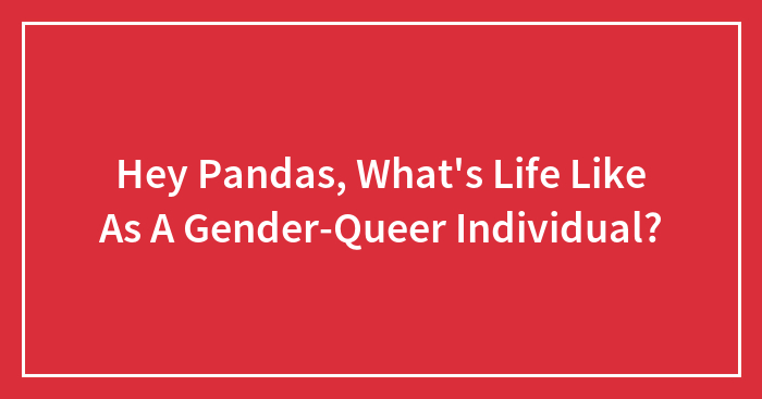 Hey Pandas, What’s Life Like As A Gender-Queer Individual? (Closed)
