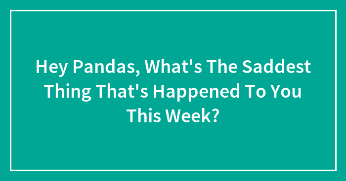 Hey Pandas, What’s The Saddest Thing That’s Happened To You This Week? (Closed)