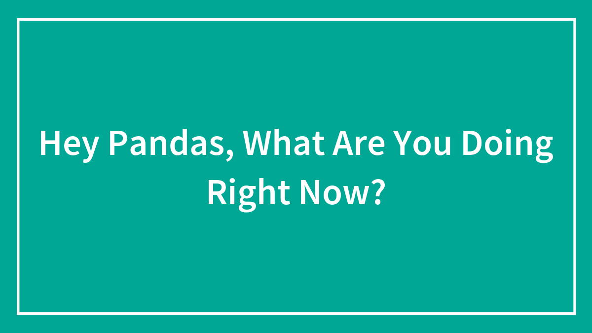 Hey Pandas, What Are You Doing Right Now? (Closed)