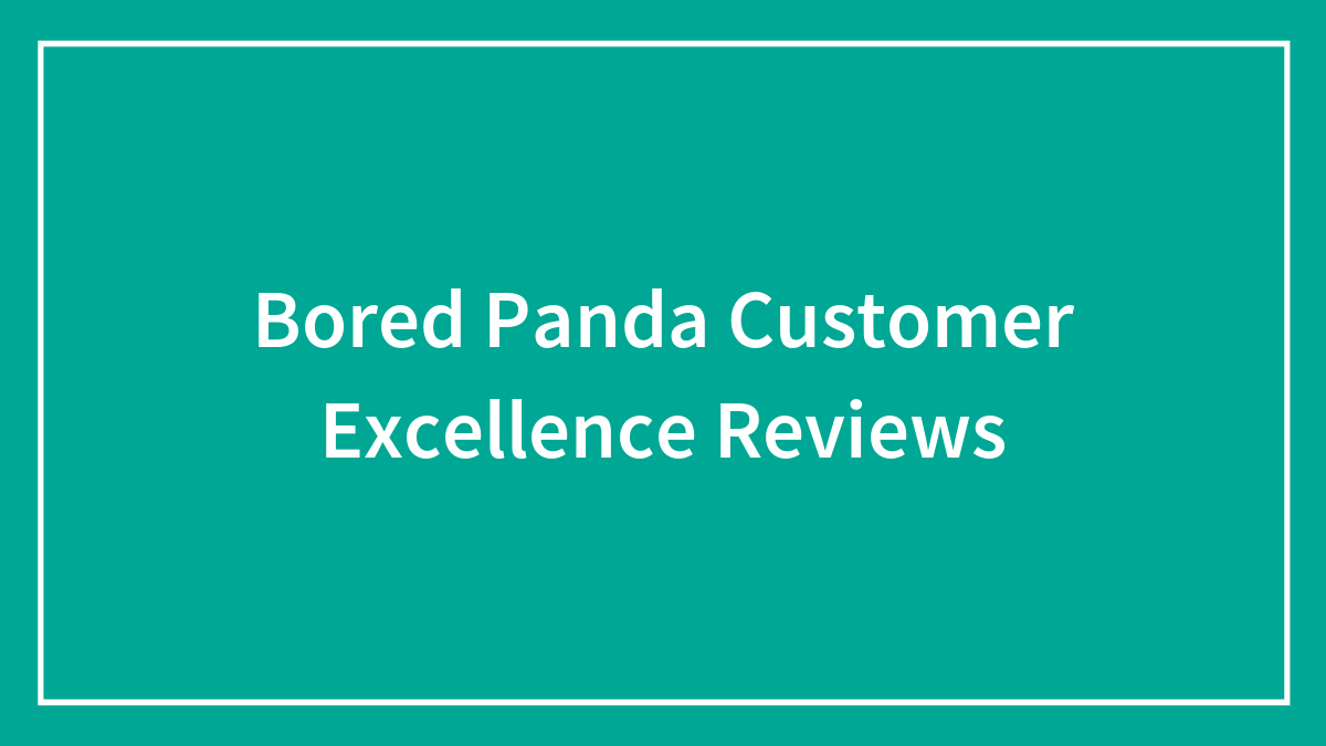 Bored Panda Customer Excellence Reviews