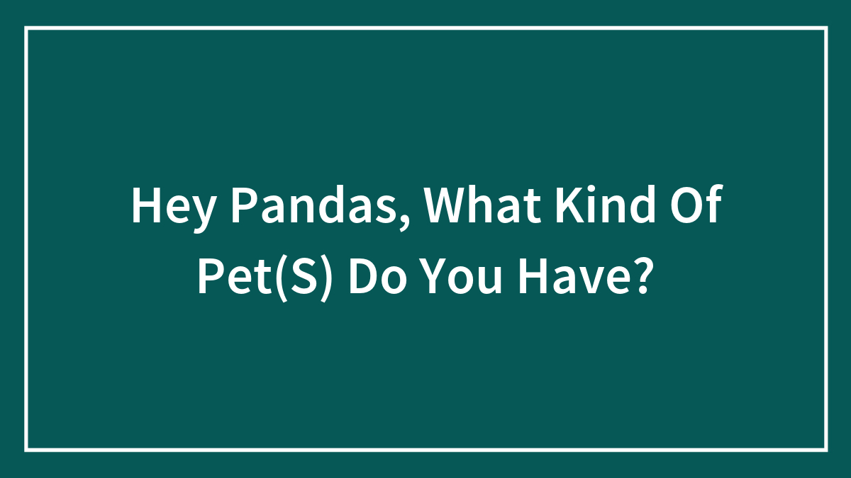 Hey Pandas, What Kind Of Pet(S) Do You Have?