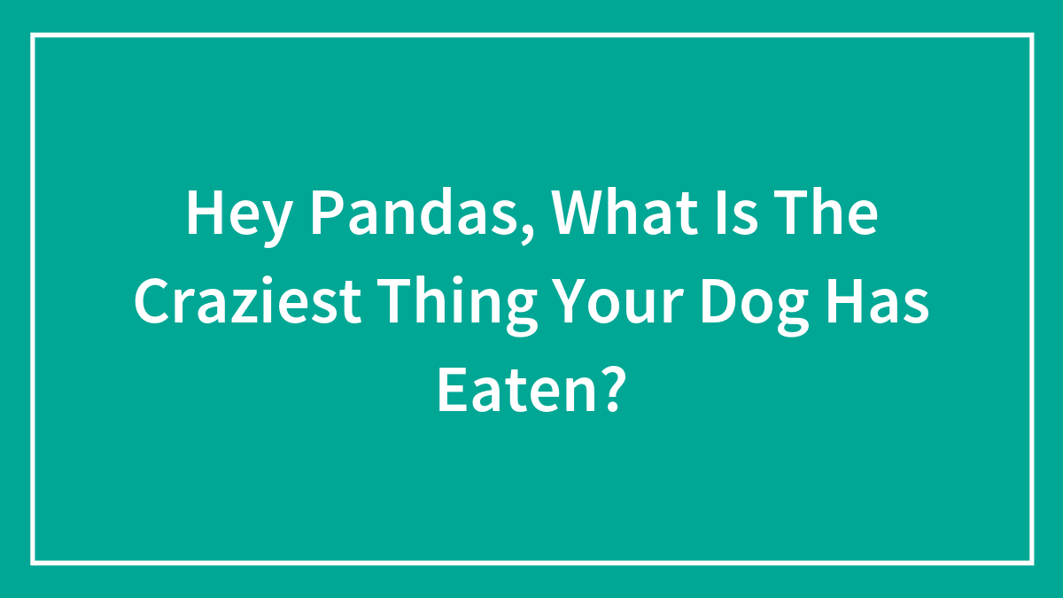 Hey Pandas, What Is The Craziest Thing Your Dog Has Eaten? (Closed)