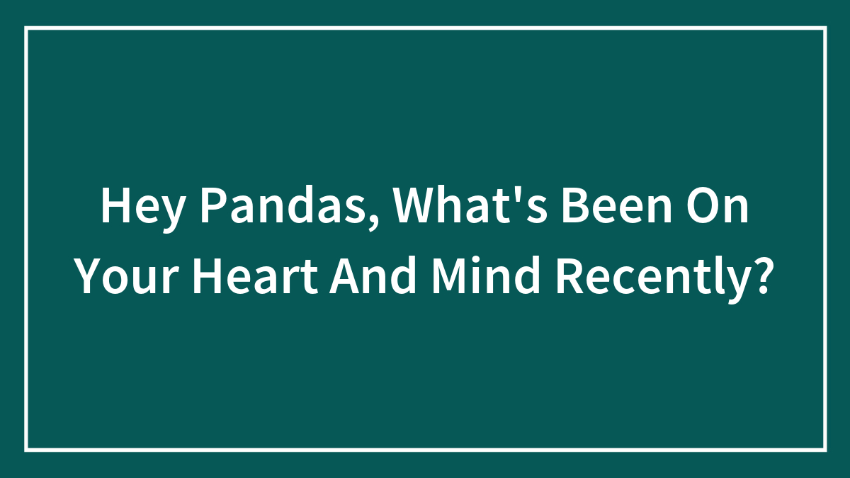 Hey Pandas, What’s Been On Your Heart And Mind Recently?