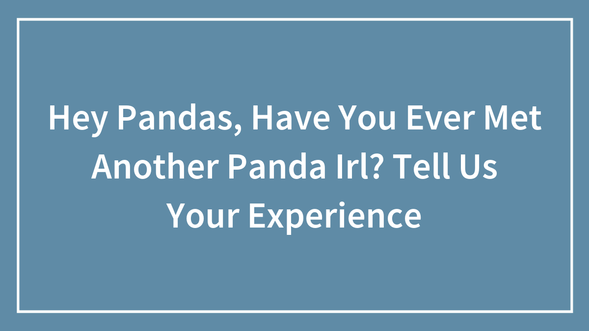 Hey Pandas, Have You Ever Met Another Panda Irl? Tell Us Your Experience