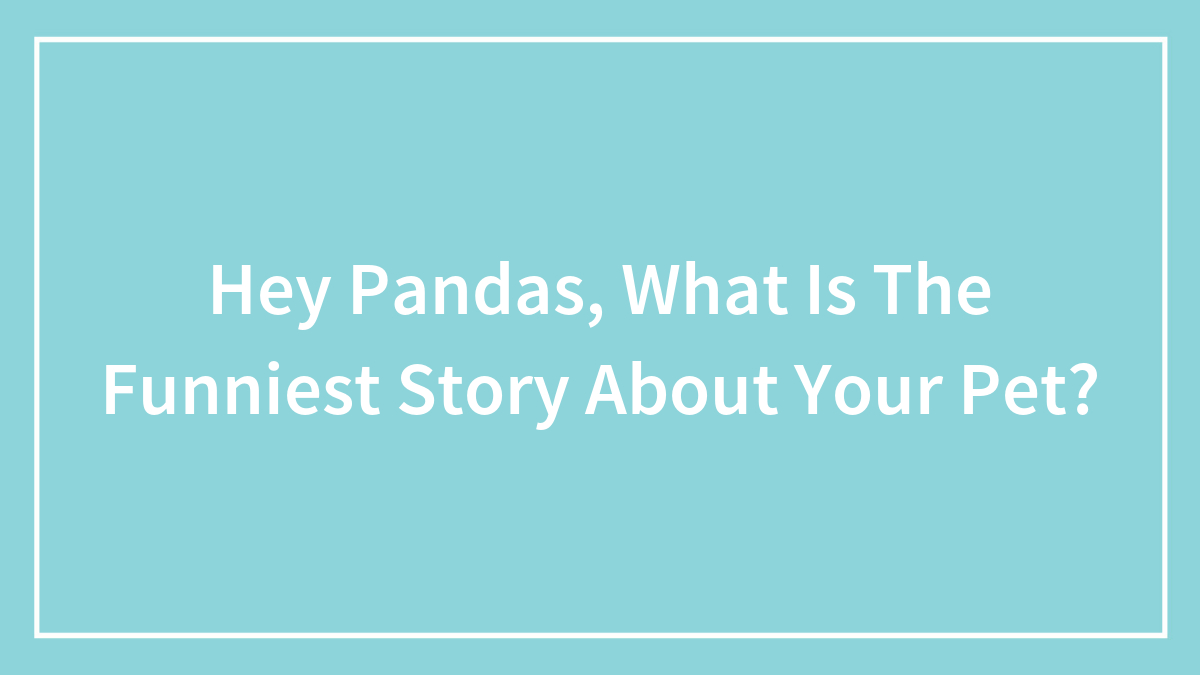Hey Pandas, What Is The Funniest Story About Your Pet? (Closed)