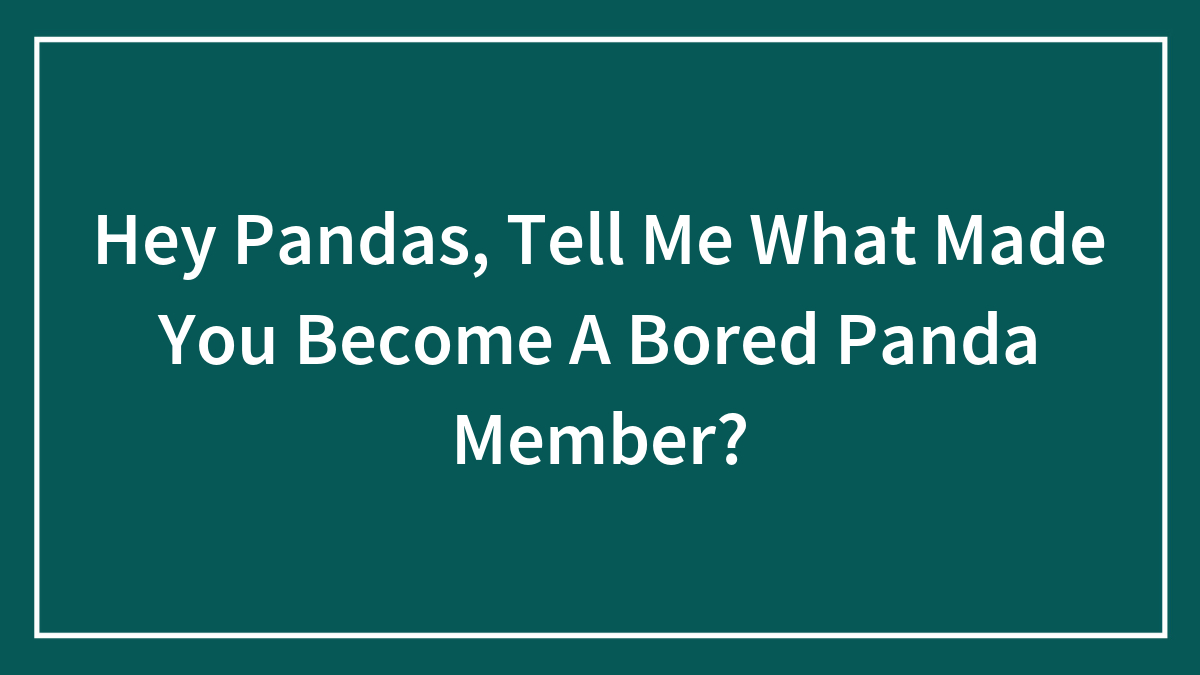 Hey Pandas, Tell Me What Made You Become A Bored Panda Member?