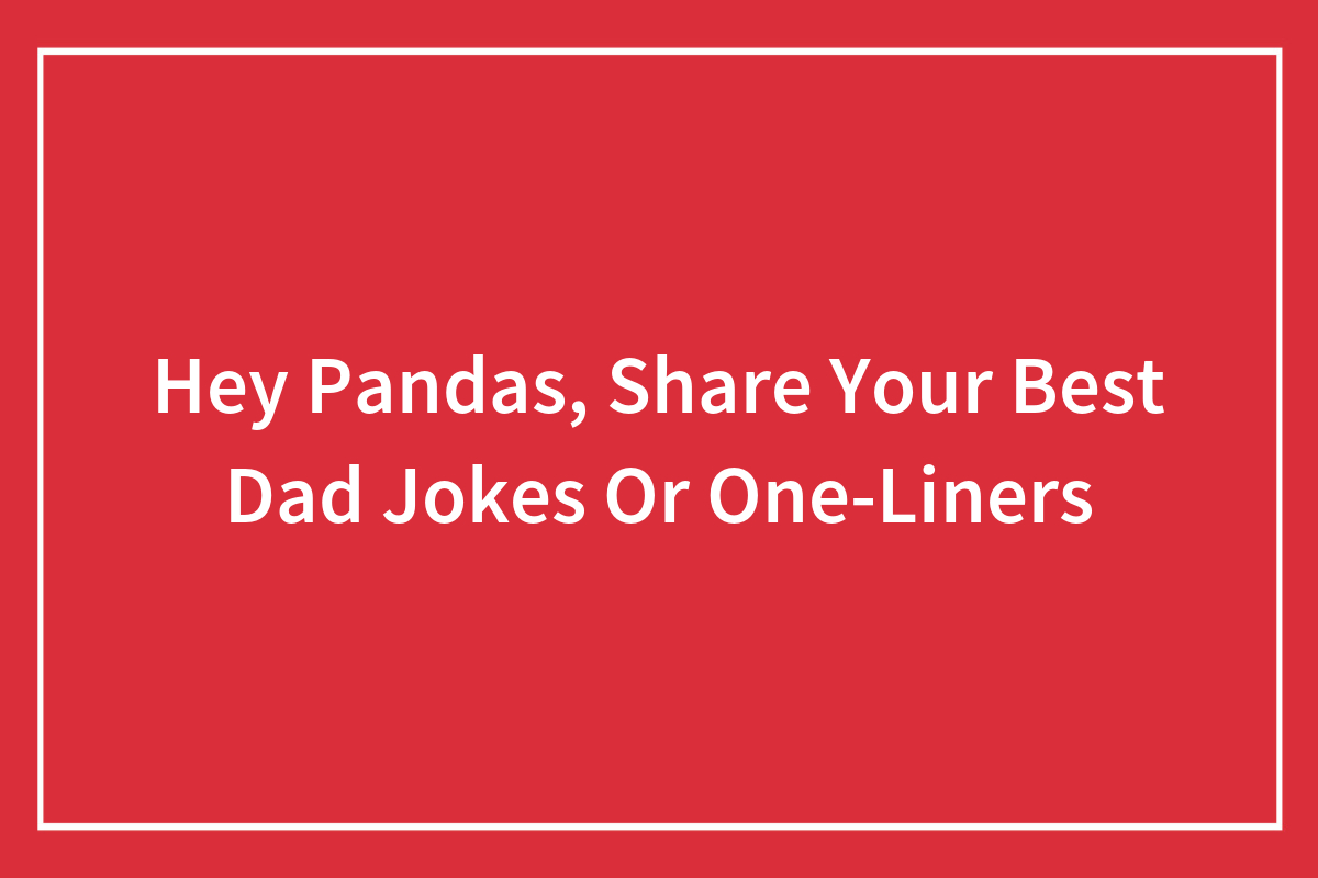 Hey Pandas, Share Your Best Dad Jokes Or OneLiners (Closed) Bored Panda