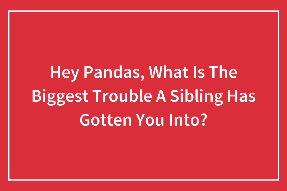 Hey Pandas, What Is The Biggest Trouble A Sibling Has Gotten You Into?  (Closed) | Bored Panda
