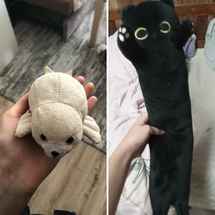 Hey Pandas, Show Me A Stuffed Animal You Have