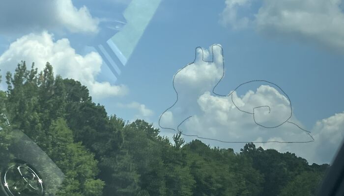Hey Pandas, Show Us Some Clouds Shaped Like Animals Or Objects (Closed)
