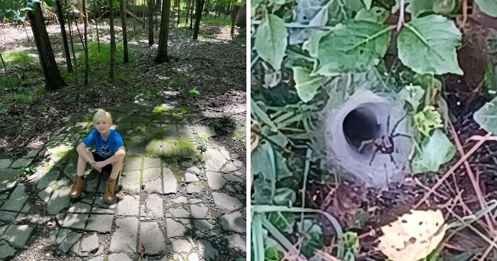 Hey Pandas, What’s A Weird Little Thing That You’ve Found? (Closed)