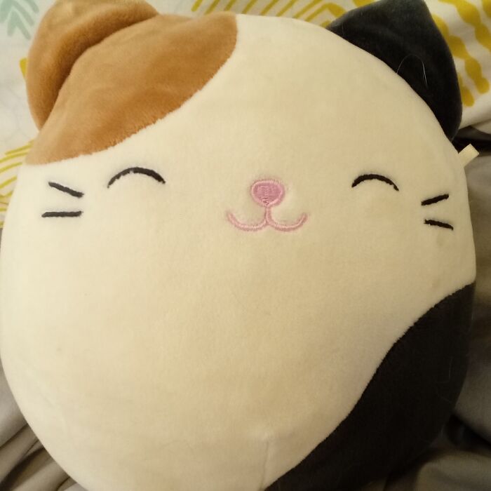 Hey Pandas, Who Has The Most Squishmellows? (Closed)