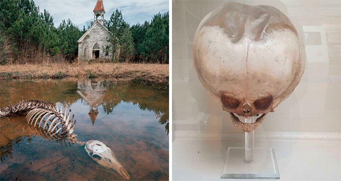 40 Of The Creepiest Things Shared Online, As Presented By This Online Community