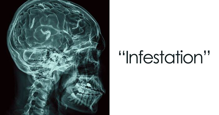 40 Of The Creepiest Things Shared Online, As Presented By This Online ...