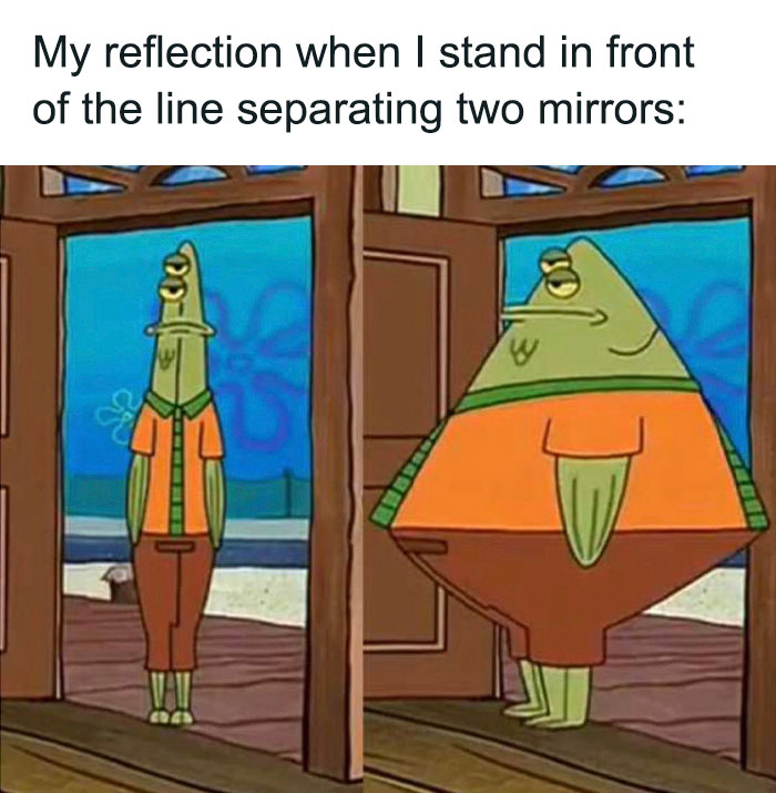 Cartoon fish looking distorted between two mirrors, representing dance memes humor.
