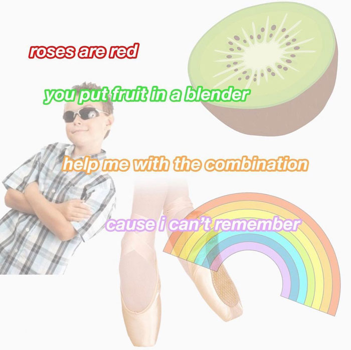 roses are red you put fruit in a blender help me with the combination cause i can't remember meme