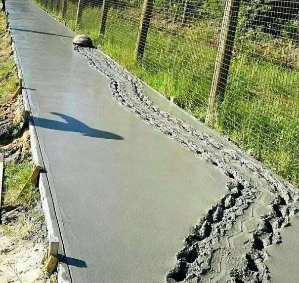 Disturbing-Cursed-Images