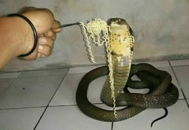 Disturbing-Cursed-Images