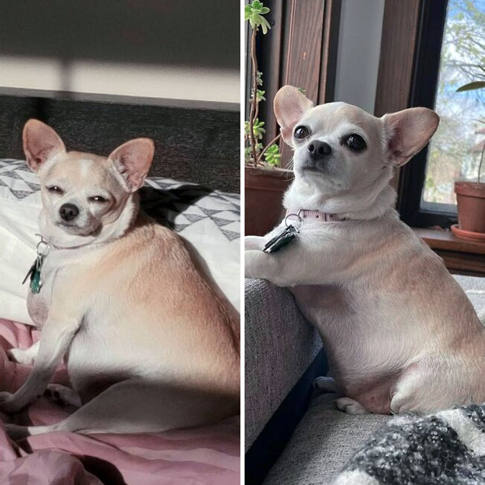 April 2020 To April 2021. Large Marge's Weight Loss Journey To Help Ease Her Joint Pain And Heart Disease