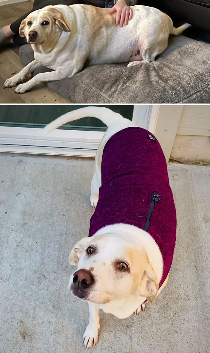 Piper Met Her Goal! From 100 Lbs To 50 Lbs In A Year