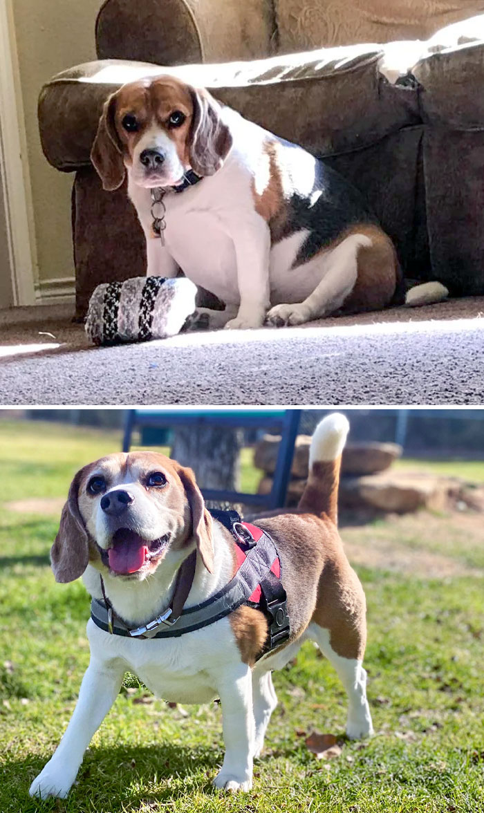 Murphy's Transformation. Before vs. After