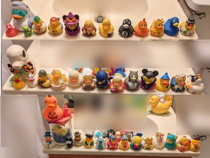 Rubber Duckies! It Started As A Small Collection For The Back Of The Toilet, And Then We Started Grabbing Them As Adventure Souvenirs, But Now Everyone That Sees The Collection When They Use My Bathroom Ends Up Gifting Me New Additions! We Have Officially Ran Out Of Toilet Room