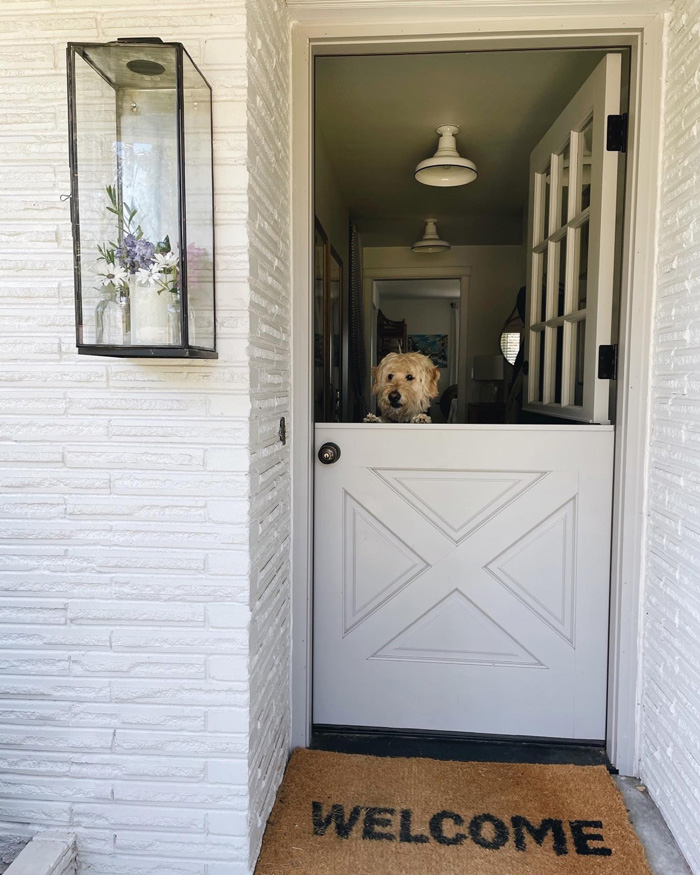 White dutch door with opened second half and dog looking from it 