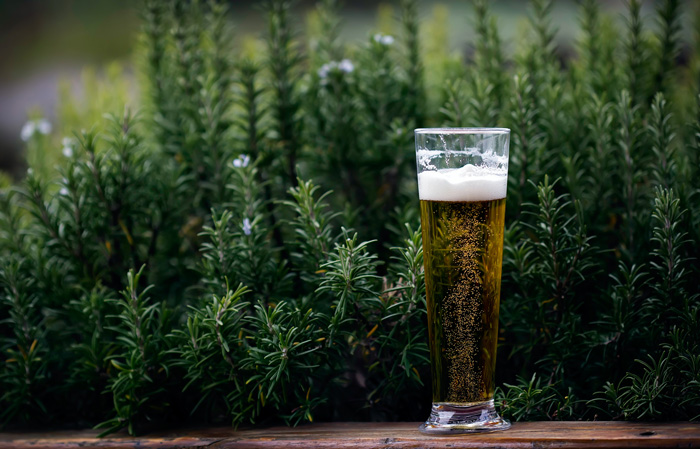beer in front of greenery
