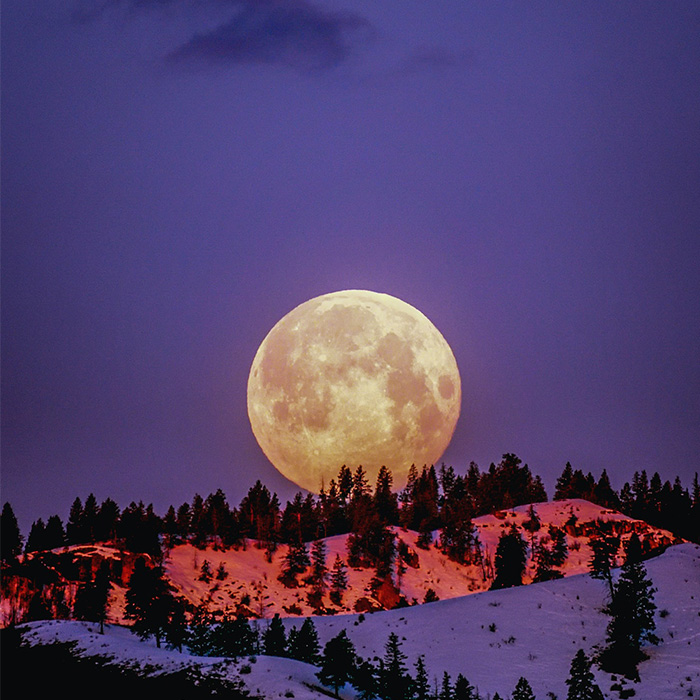 big moon on the background of purple sky