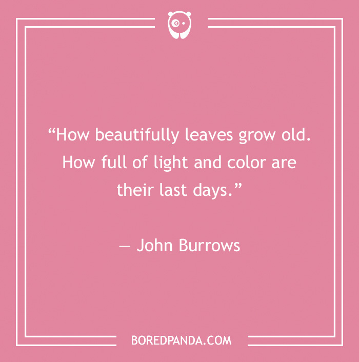 John Burrows quote on leaves growing old 