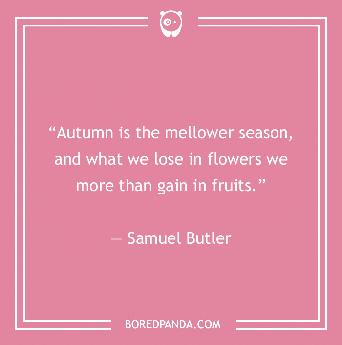 Samuel Butler quote on losing 
