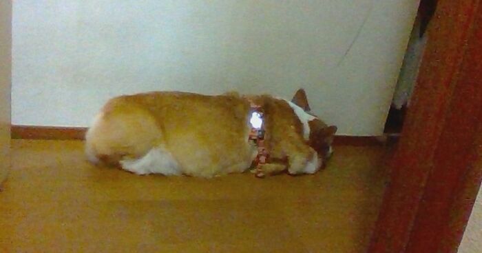 Hey Pandas, Show Us Your Favorite Spot (Closed)